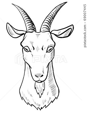 Goat head (line drawing) - Stock Illustration(No.69007445). Find images exactly you are looking for from more than 68,400,000 of royalty-free stock photos, illustrations, and vectors. Download and enjoy fresh & incredible images added every day. Goat Head, Money Images, Bone Art, Elephant Head, Drawing Reference Poses, Art Classes, Drawing Reference, Line Drawing, Animal Drawings