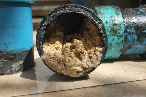 What’s Clogging Your Drains and How Can You Unclog Them? Drain Clog Remover, Drain Repair, Unclog Drain, Drain Pipes, Pipe Repair, Plumbing Emergency, Plumbing Problems, Clogged Drain, Drain Cleaner