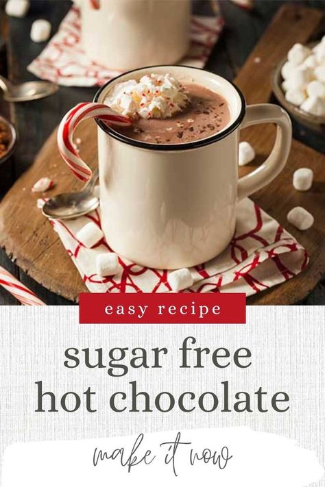 Hot Chocolate For Diabetics, Stevia Hot Chocolate Recipe, Diy Sugar Free Hot Cocoa Mix Recipes, Homemade Sugar Free Hot Cocoa Mix Recipe, Sugar Free Cocoa Mix Recipe, Homemade Sugar Free Hot Chocolate, No Sugar Hot Chocolate Recipe, Sugar Free Hot Chocolate Recipe, Weight Watchers Hot Chocolate