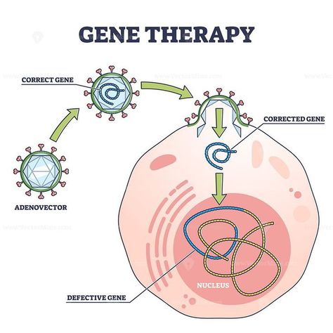 Genetic Diseases Poster, Project Biology, Somatic Cell, Human Genome, Science Illustration, Gene Therapy, Genetic Disorders, Technology Wallpaper, Landing Pages