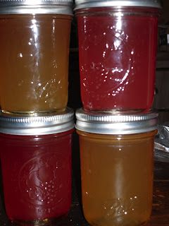 ~Simply Loving Home~: November Can Jam.... Apple Cider Jelly Tangerine Jelly, Canning Apples, Leftover Apples, Can Jam, Canning Ideas, Apple Jelly, Canning Food, Canning Jam, Apple Jam