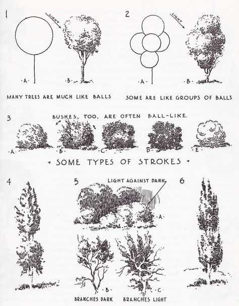 What magic there is in simple black and white. Three sketches from Drawing with Pen & Ink by Arthur L. Guptill, the first by the author, on trees, the second by Schell Lewis, and the third by J... Drawing With Pen, Ink Drawing Techniques, Tree Sketches, Landscape Sketch, Landscape Drawings, Tree Drawing, Urban Sketching, Ink Illustrations, Realistic Drawings