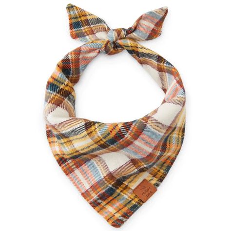 Foggy Dog, Flannel Dog Bandana, The Foggy Dog, Fall Dog, Mini Goldendoodle, Dog Bandanas, Orange Plaid, Fall Feels, Shelter Dogs