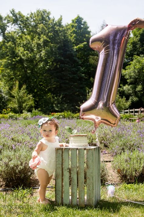 1st Photoshoot, Outdoor Cake Smash, Boys 1st Birthday Party Ideas, Girls Foto, Baby Pic, Cake Smash Photography, Foto Shoot, Milk Crates, London Ontario