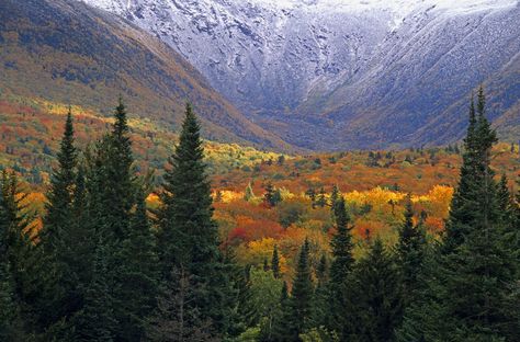 Top Things To Do in New Hampshire's White Mountains Sky Go, White Mountain National Forest, Lost River, Fall Vacations, Mountain Getaway, Forest View, Nature Posters, White Mountains, Autumn Forest