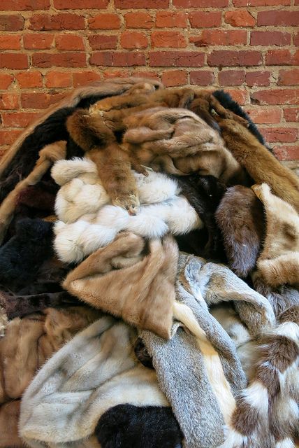 Repurposed Fur Coats Ideas, Fur Coat Repurpose Ideas, Old Fur Coat Upcycle, Repurpose Fur Coat, Repurpose Fur Coat Diy Ideas, Snow Bedroom, Viking Bedroom, Losing Hope, Raccoon Fur Coat