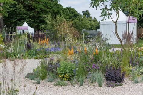 Hampton Court Palace Gardens, Beth Chatto, Drought Tolerant Garden, Dry Garden, Hampton Court Palace, Palace Garden, Gravel Garden, Coastal Gardens, Garden Festival