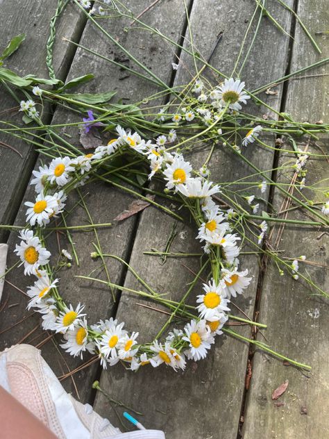 #diy May Day Celebration, Flower Crown Daisy, Flower Crown Picnic, May Day Aesthetic, Ghibli Spring, Aesthetic Flower Crown, Flower Crown Aesthetic, Daisy Aesthetic, Daisy Flower Crown