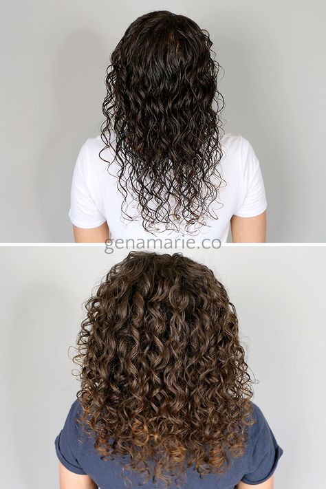 Curly Hair Routine for Wet Frizz + How to Tame Wet Frizz – Gena Marie Hairstyles For Wet Curly Hair, Swimming Hair, Wet Curly Hair, Curly And Straight Hair, Frizzy Curls, Bounce Curl, Polished Hair, Scalp Oil, Detangling Brush