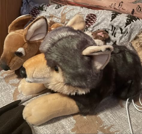 Deer Plushie Aesthetic, Wolf Plushie Aesthetic, Wolf Plushie, Plushie Aesthetic, Wolf And Deer, Cute Stuffies, Wolf Plush, Child Protective Services, Dsm 5