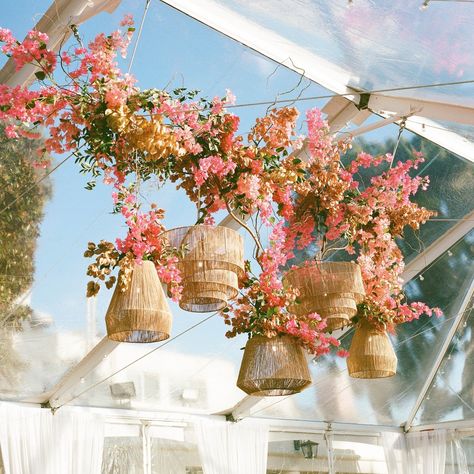 A beautiful arch made of lush pink, orange, and red flowers, elegantly framing a table, adding warmth and a bold pop of color to the setup. Hanging Basket Lights: Natural wicker pendant lights suspended from the ceiling add a rustic and bohemian touch. The lights complement the floral arrangements and bring a cozy, intimate atmosphere. Canopy and Drapery: The clear canopy allows natural light to flood the space, creating an airy ambiance. Flowing white drapes add a sense of elegance and sof... Dried Flower Chandelier, Hanging Basket Lights, Wicker Pendant Lights, Basket Lights, Boho Lanterns, Floral Ceiling, Mexico Beach Weddings, Lighting Wedding, Tropical Wedding Theme