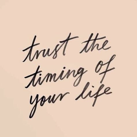 trust the timing of your life. inspirational and motivational quotes. E Card, Psych, Note To Self, The Words, Great Quotes, Positive Affirmations, Inspirational Words, Cool Words, Words Quotes