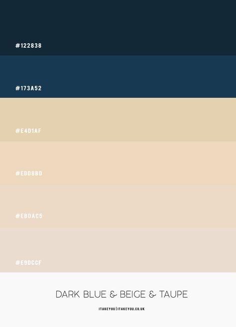 Dark Blue Beige Color Palette, Beige Navy Color Palette, Navy Blue Combination Color, Navy And Beige Color Palette, Navy Blue Beige Color Palette, Navy Blue And Cream Color Palette, Blue And Beige Branding, Dark Blue Website Design, Dark Blue Pallet