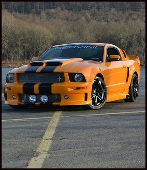 2007 Mustang, 2013 Mustang, 2002 Ford Mustang, 2007 Ford Mustang, 2006 Ford Mustang, 2003 Ford Mustang, Grabber Orange Mustang, Ford Mustang, Mustang