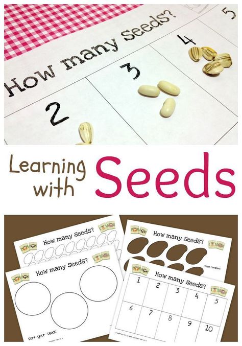 Printable Activity for Learning Math with Seeds http://theeducatorsspinonit.com Tiny Seed Activities, Seeds Preschool, Seed Activities, Garden Unit, Preschool Garden, Plants Unit, Preschool Spring, Science Concepts, The Tiny Seed