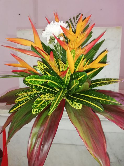 Tropical Flower Arrangements, Plants Decor, House Plants Decor, Tropical Flower, Garden Tips, Tombstone, Tropical Flowers, Ikebana, Flower Arrangement