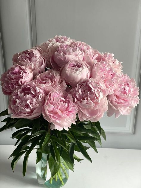 Boquette Flowers, Pregnancy Announcements, Nothing But Flowers, Peonies Bouquet, Flower Therapy, Beautiful Bouquet Of Flowers, Beautiful Flower Arrangements, Container Garden, Luxury Flowers