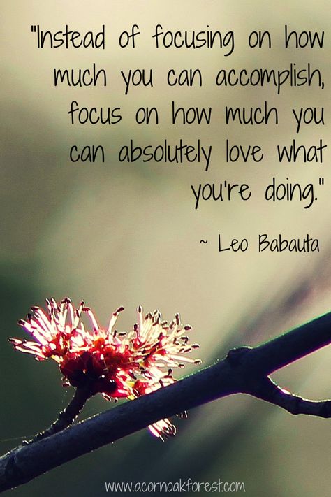 Focus on how much you can absolutely love what you're doing. ~ Leo Babauta Acorn * Oak * Forest www.acornoakforest.com Metaphysical Quotes, Dreamy Quotes, Leo Babauta, Acorn And Oak, Oak Forest, Spiritual Inspiration, Wise Quotes, Beautiful Quotes, Meaningful Quotes