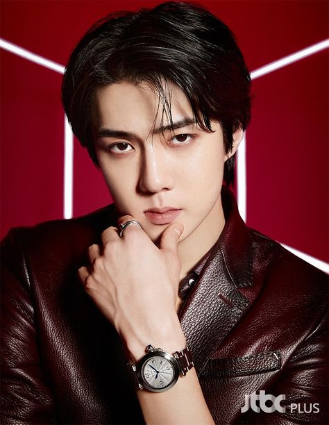 Sehun x Cartier Exo Official, Baekhyun Chanyeol, Kim Min Seok, Kim Jongdae, Exo Sehun, Exo Members, Kim Jongin, Oh Sehun, Exo K