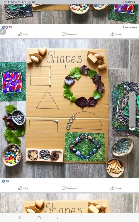 Regio Emilia Activities Ideas, Regio Emilia Activities, Nature Shapes, Reggio Emilia Classroom, Reggio Inspired Classrooms, Reggio Emilia Inspired, Eyfs Classroom, Tree Study, Preschool Centers