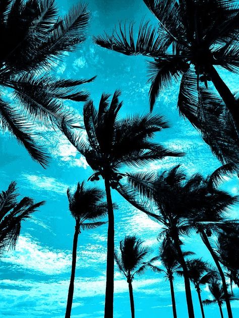 Palm Tree Aesthetic, Blue Palm Trees, Blue Palm Tree, Tree Aesthetic, Light Blue Aesthetic, Dream Land, Landscape Photography Nature, Wallpaper Patterns, Phone Wallpaper Patterns