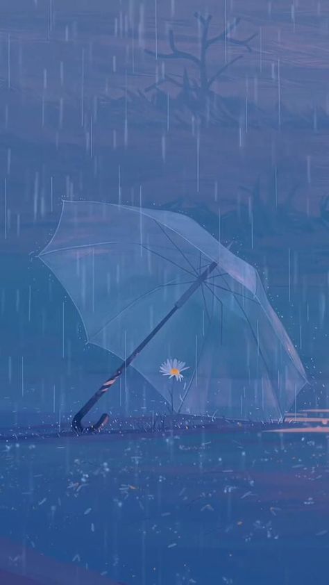 Calm Pfp Aesthetic, Blue Asthetics Photos Wallpaper, Anime Rain Aesthetic, Blue Rain Aesthetic, Rain Cover Photo, Blue Asthetics Photos, Blue Asthetics, Whats Wallpaper, Tamako Love Story