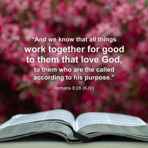 Romans 8:28, Romans 8 28 Kjv, Christian Comfort, Morning Scripture, Memory Verses, God's Plans, Surrender To God, All Things Work Together, Beautiful Bible Verses