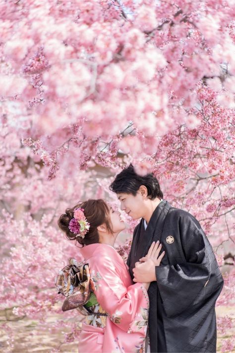 E&V: Kyoto Spring Cherry Blossoms Pre-wedding Photoshoot | Kinosaki | OneThreeOneFour Japan Elopement, Kyoto Spring, Japan Photoshoot, Sakura Wedding, Spring Cherry Blossoms, Winter In Japan, Japan Wedding, Japanese Couple, Japan Cherry Blossom