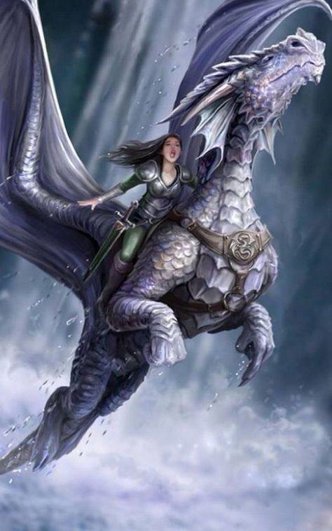 Anne Stokes Anne Stokes Dragon, Anne Stokes Art, Gothic Dragon, Witch Pictures, Anne Stokes, Dragon Sketch, Fairy Dragon, Flowery Wallpaper, Dragon 2