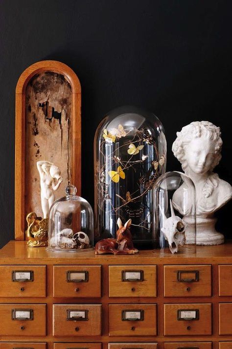 Cabinet Of Curiosity, Cabinet Of Curiosities, Ikea Hack, Glass Domes, Wasting Time, 인테리어 디자인, Victorian Homes, My Dream Home, Design Interior