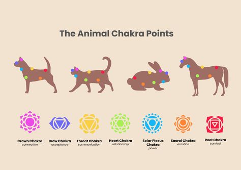 Chakra Points, Pet Healing, Chakra Chart, Essential Oils Dogs, Reiki Therapy, Animal Reiki, Puppy Mom, Pet Wellness, Witch Books