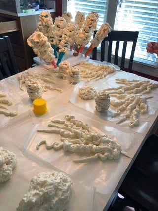 Make the Coral Coral Reef Costume, Coral Reef Craft, The Little Mermaid Musical, Scuba Vbs, Under The Sea Decorations, Coral Decor, Costume Works, Pirate Halloween, Spray Foam Insulation