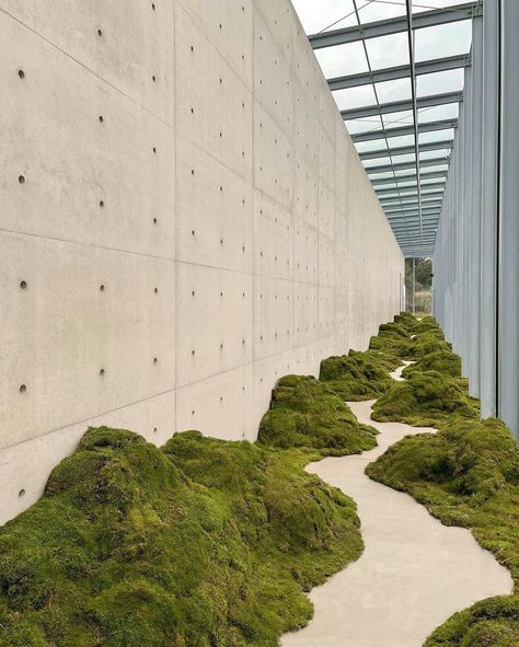 Moss Walkway, Plant Installation, Flower Installation, Moss Garden, Installation Design, Sustainable Architecture, Green Wall, Art Display, Walkway