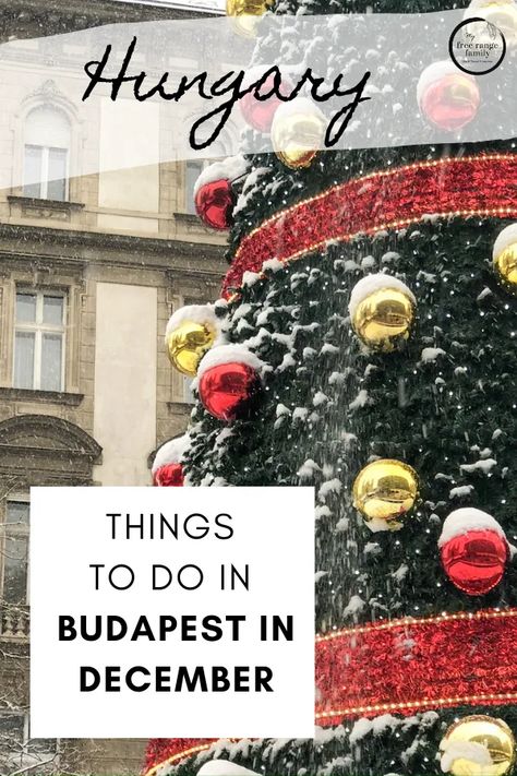 Things To Do In December, Budapest Christmas Market, Europe In December, Budapest Christmas, Christmas Markets Germany, Things To Do In Budapest, To Do In Budapest, Capital Of Hungary, Winter Travel Destinations