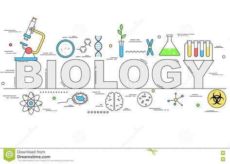 Biology Line Style Illustration Stock Vector - Illustration of banner, education: 81906434 What Is Biology, Branches Of Biology, Study Biology, Evolutionary Biology, Molecular Biology, Science Student, Bachelor Of Science, Charles Darwin, Science Biology