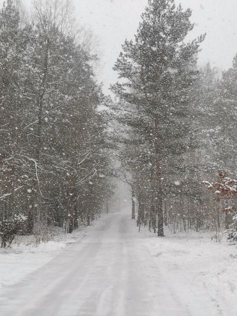 White Woods Aesthetic, Snow Field Aesthetic, Light Snow Aesthetic, White Hour Sky, White Hour Aesthetic, Christmas White Aesthetic, Snowstorm Aesthetic, Winter White Aesthetic, White Snow Aesthetic