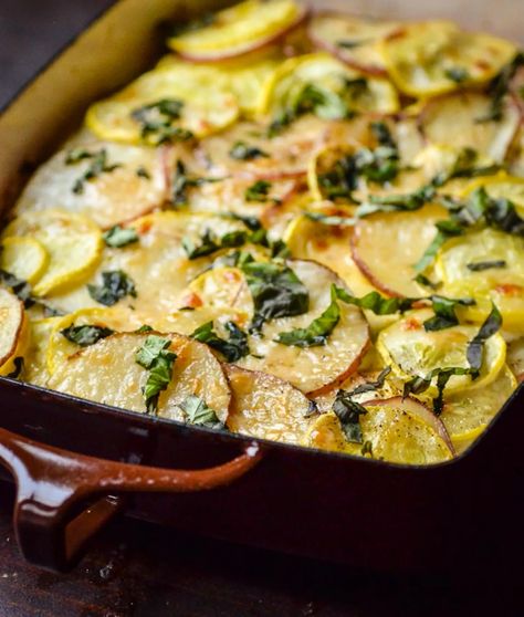 Goat cheese and herbs give this simple gratin a wealth of flavor (without weighing it down). Casserole For Thanksgiving, Potato Squash, Cheese Gratin, Great Vegetarian Meals, Roast Beef Dinner, Vegan Casserole, Sides Recipes, Vegetarian Thanksgiving, Potato Sides