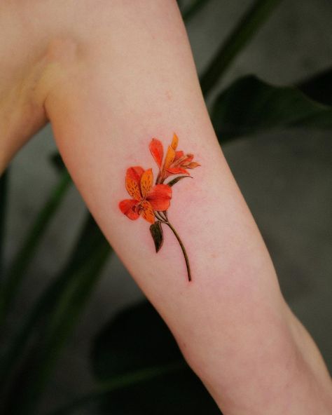 𝐌𝐚𝐲 on Instagram: “. Alstromeria for Pamela🧡 . . . #LA #latattooshop #latattoo #latattooartist #sandiegotattoo #sanfranciscotattoo #sandiego #sanfrancisco…” San Francisco Tattoo, San Diego Tattoo, La Tattoo, Leaf Tattoos, Maple Leaf Tattoo, Watercolor Tattoo, Tattoos, On Instagram, Instagram