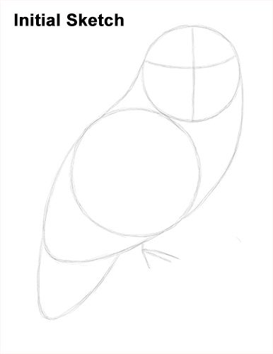 Snowy Owl Drawing Sketch                                                                                                                                                                                 More Snow Owl Drawing, Snowy Owl Drawing, Owl Drawing Simple, Draw Birds, Happy Stone, Owl Sketch, Drawing Steps, Owl Drawing, Barn Owls