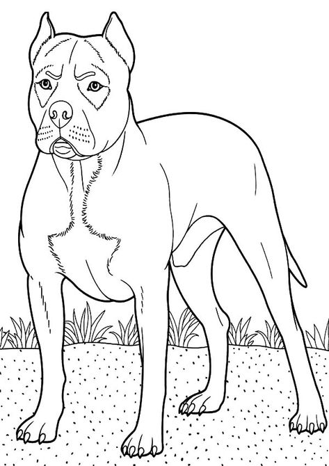 Boxer Dog Guarding At Backyard Coloring Pages : Best Place to Color Dog Colouring Pages, Dog Colouring, Boxer Dogs Art, Pages To Color, Dog Sketch, Dog Coloring Page, Simple Cartoon, Dog Drawing, Boxer Dogs