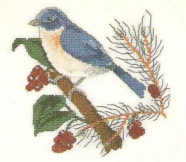 Birth Cross Stitch, Everything Cross Stitch, Eastern Bluebird, Bird Patterns, Pattern Free, Bluebird, Counted Cross Stitch, Blue Bird, Blackwork