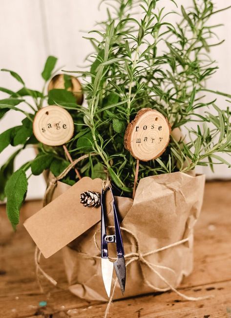 DIY Kitchen Herb Garden Gift Idea Herbs Gift Ideas, Planting Gift Basket, Herb Plant Gift Ideas, Herb Garden Gift Ideas Diy, Herb Basket Gift Ideas, Garden Party Gifts, Plant Present Ideas, Farmers Market Gift Basket Ideas, Gifting Herbs