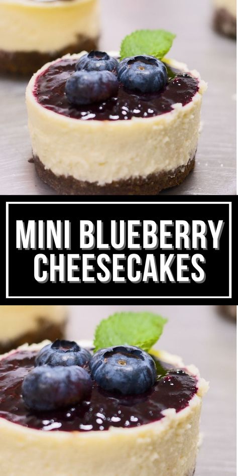 Mini Cheesecakes Blueberry, Unique Cheesecakes, Sequoia Wedding, Mini Blueberry Cheesecakes, Cheesecake Cups Recipe, Blueberry Cheesecake Recipe, Control Yourself, No Bake Cherry Cheesecake, Lemon Blueberry Cheesecake