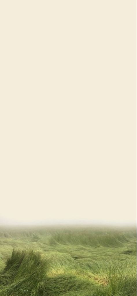 Tan Phone Wallpaper Aesthetic, Cream Phone Wallpaper, Bage Wallpapers, Tan Wallpaper Iphone, Tan Aesthetic Wallpaper, Home Screen Pictures, Tan Wallpaper, Earthy Home, Phone Wallpaper Pink