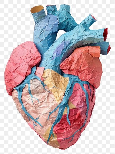 Anatomical Heart Illustration, Heart Realistic, Craft Heart, Realistic Heart, Real Heart, Heart Craft, Heart Anatomy, Crumpled Paper, Fabric Hearts