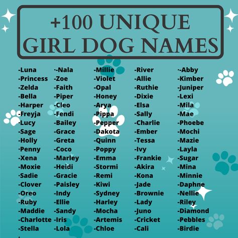 girl dog names of 2023 Rare Dog Names, Puppy Names Unique, Dog Names Girl, Small Dog Names, Dog Names Unique, Boy Dog Names, Dog Emoji, Girl Dog Names, Female Dog Names