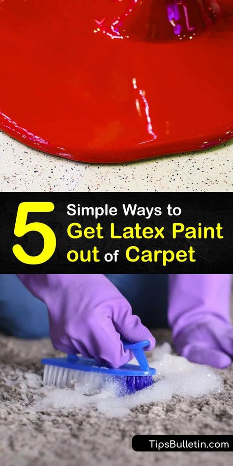 How To Get Wet, Remove Paint From Carpet, Paint Out Of Carpet, Paint Carpet, Carpet Cleaner Solution, Diy Household Cleaners, Cottagecore Kitchen, Remove Paint, Canvas Drop Cloths