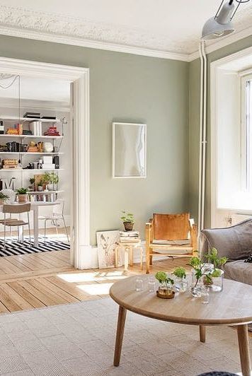 Neutral Green Dining Room, Soft Green Walls Living Room, Sage Green And Yellow Living Room, Sage Green And Terracotta Living Room, Open Doorway Ideas, Neutral Green Living Room, Dining Room Colours, Sage Dining Room, Living Room Wall Color Ideas