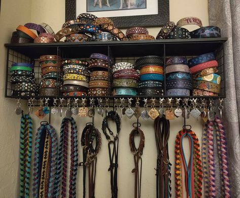 Dog Gear Wall, Dog Gear Storage, Dog Collar Display, Gear Organization, Dog Room Decor, Psychiatric Service Dog, Dog Organization, Dog Storage, Service Dogs Gear