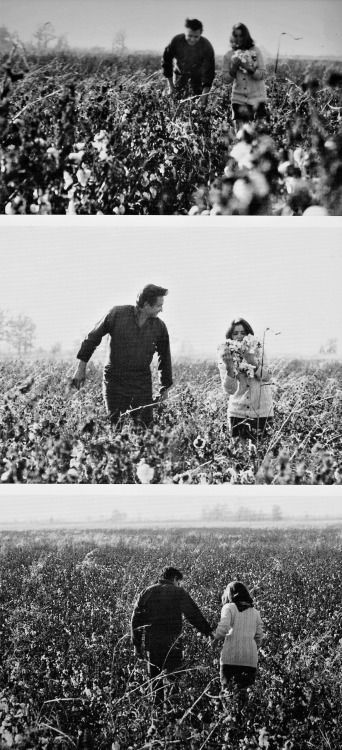 Johnny Cash And June Carter, June And Johnny Cash, Johnny Cash And June, John Cash, Johnny Cash June Carter, I Walk The Line, June Carter, June Carter Cash, Johnny And June